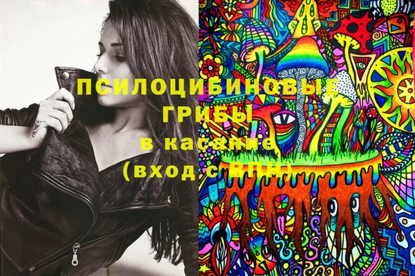 соль ск Нефтегорск