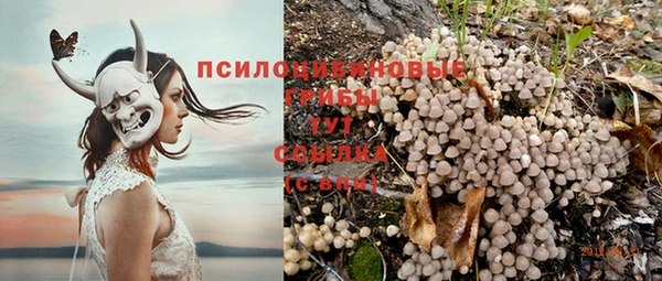 молекула духа Абаза