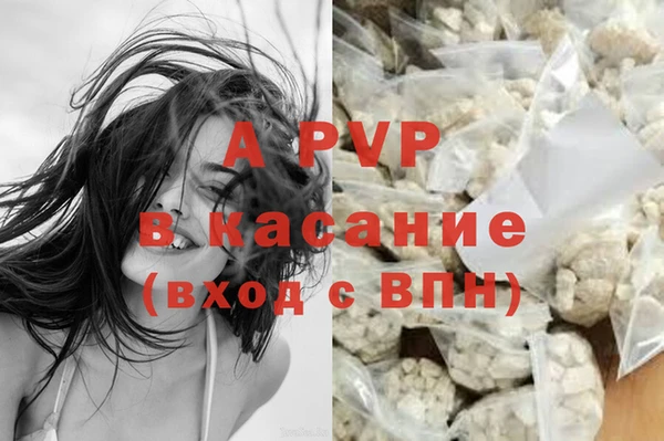 PSILOCYBIN Нея