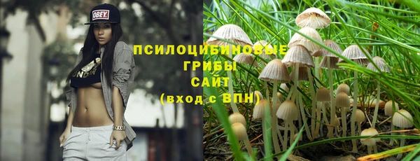 соль ск Нефтегорск