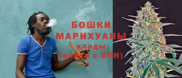 PSILOCYBIN Нея