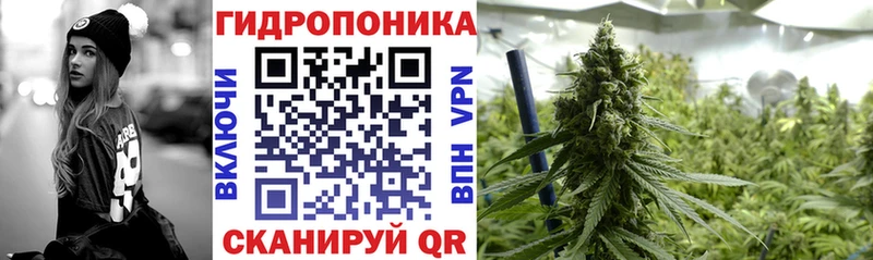 Бошки марихуана THC 21%  нарко площадка Telegram  Юрюзань  kraken tor 